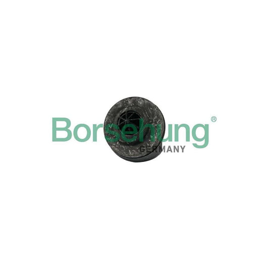 Borsehung B19066 Spring Cap