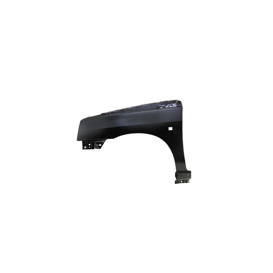 Blic 6504-04-6031311P Wing Fender For Renault Clio