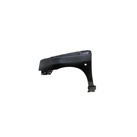 Blic 6504-04-6031311P Wing Fender For Renault Clio
