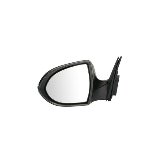 Blic 5402-53-2001575P Wing Mirror For Kia Sportage