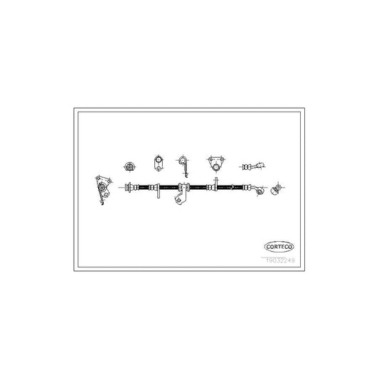 Corteco 19032249 Brake Hose | ML Performance UK