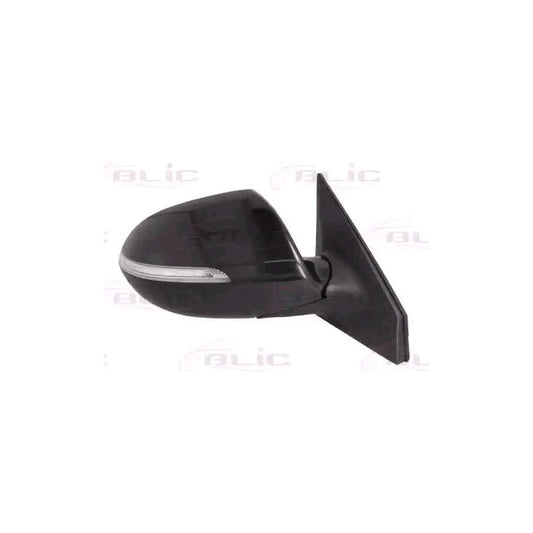 Blic 5402-53-2001574P Wing Mirror For Kia Sportage