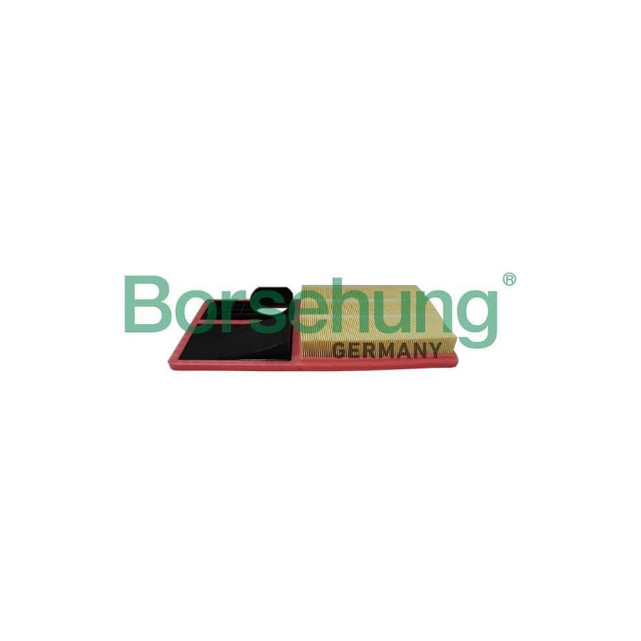 Borsehung B19096 Air Filter