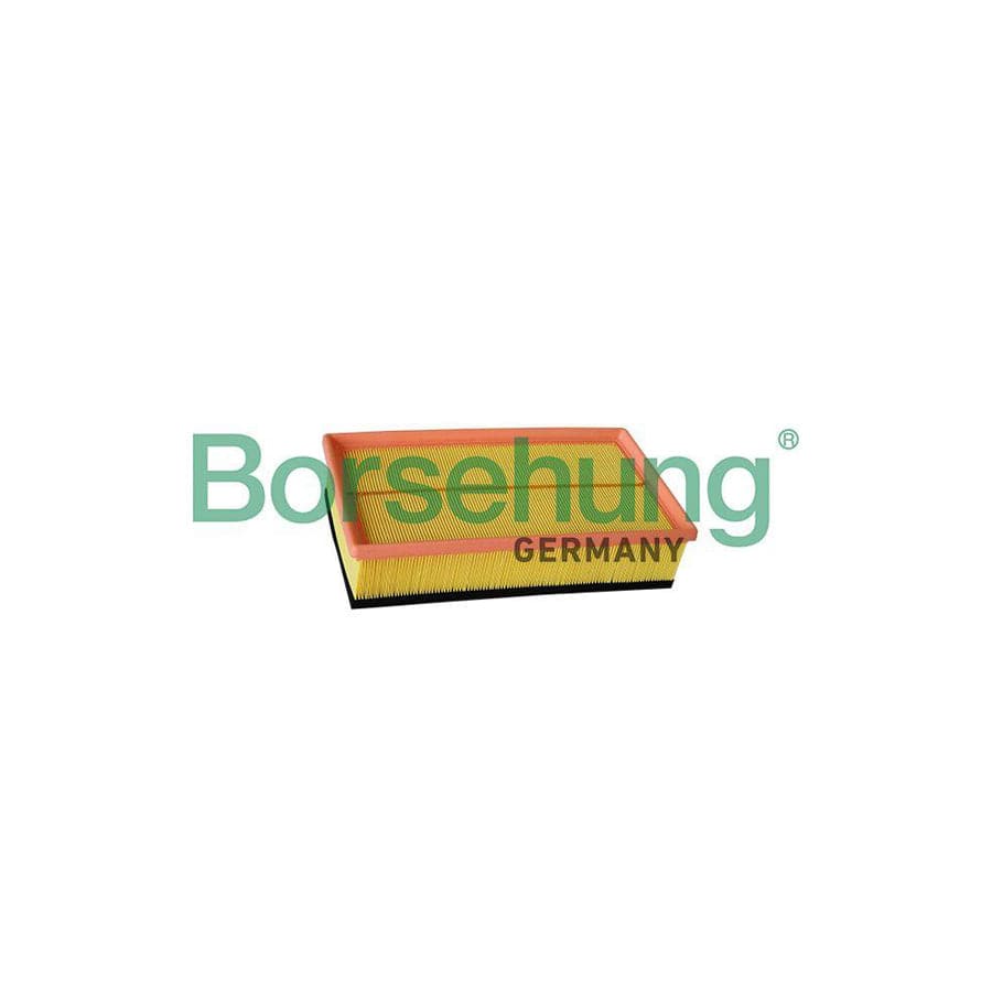 Borsehung B12218 Air Filter