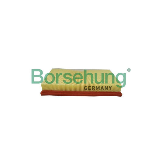 Borsehung B19095 Air Filter