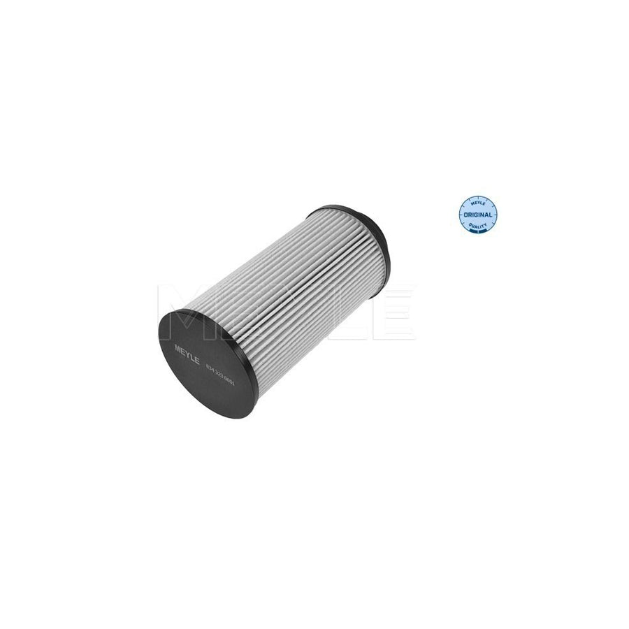 Meyle 834 323 0001 Fuel Filter