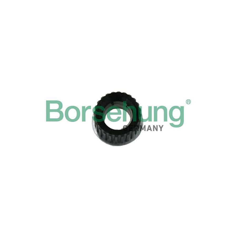 Borsehung B19122 Bearing