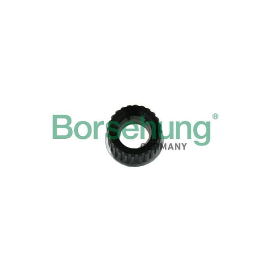 Borsehung B19122 Bearing