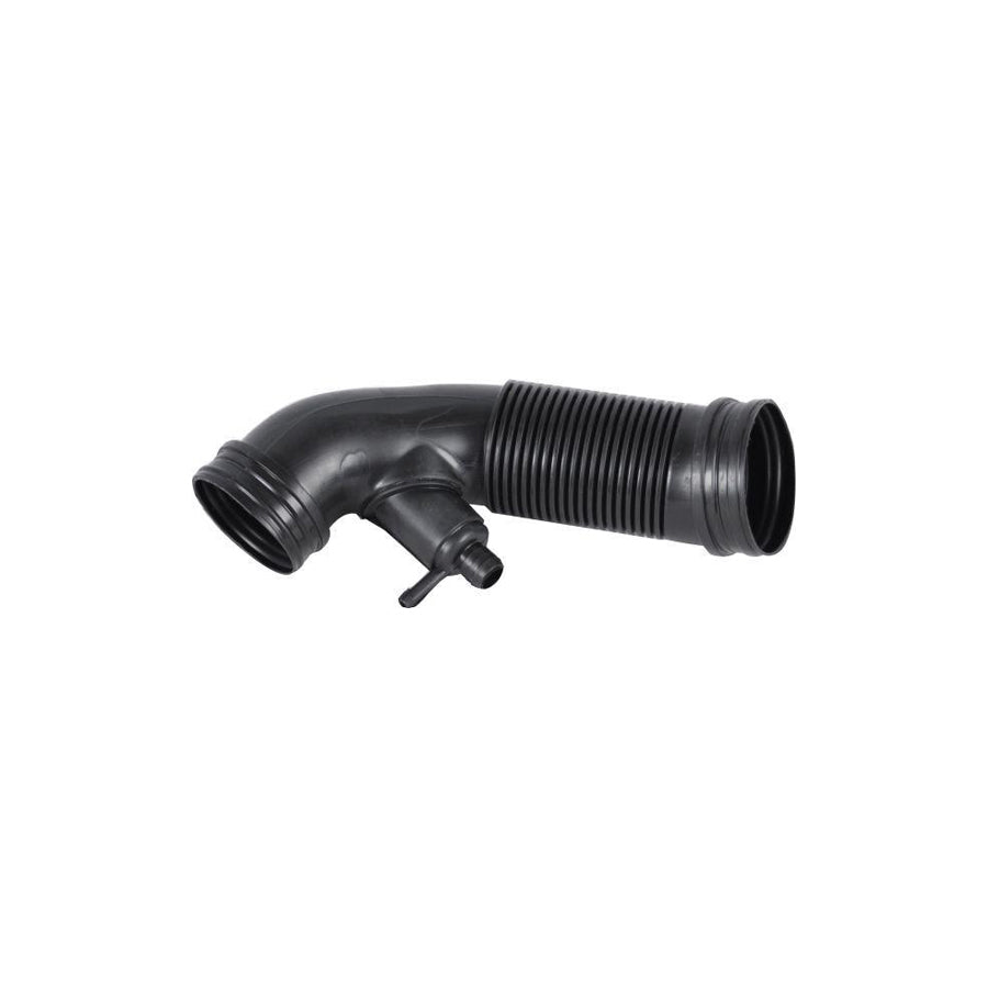 Bugiad BSP24044 Intake Pipe, Air Filter