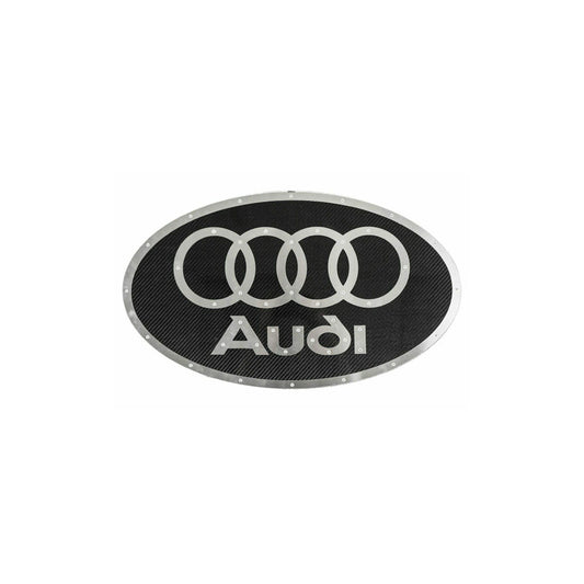 Fabspeed Carbon Fiber Wall Art - Audi | ML Performance UK
