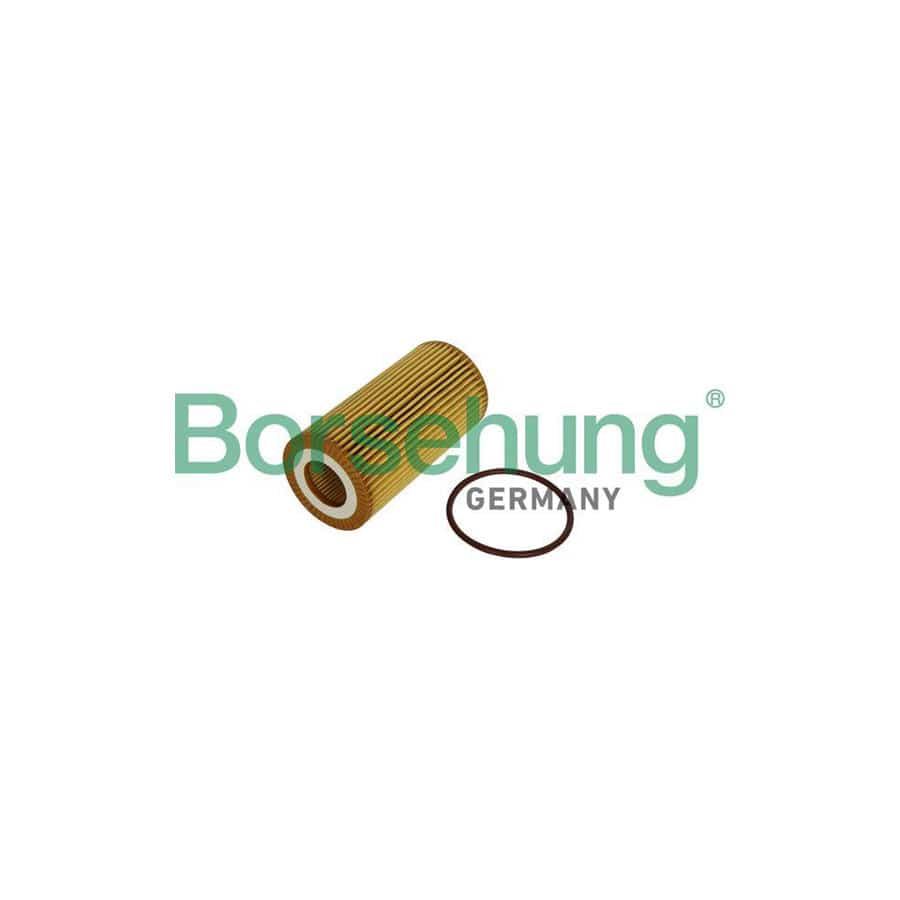 Borsehung B12225 Oil Filter