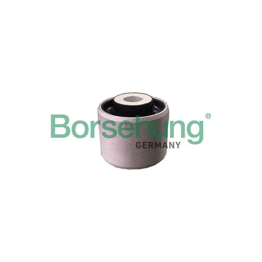 Borsehung B19112 Control Arm- / Trailing Arm Bush For Audi A4