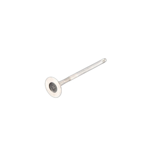 Genuine BMW 11347553774 F11 F10 E93 Exhaust Valve 27,0/5,96mm (Inc. 523i, X3 2.5si & 323i) | ML Performance UK Car Parts