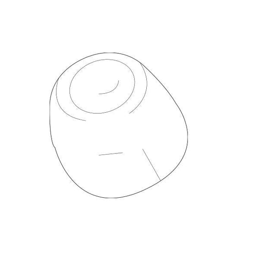 Genuine Lexus 85354-53021 IS Phase 3 N/S Headlamp Washer Jet Cover