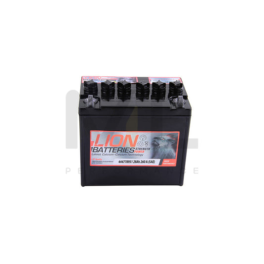 Lion 895 leisure / garden Machinery battery | ML Performance UK Car Parts