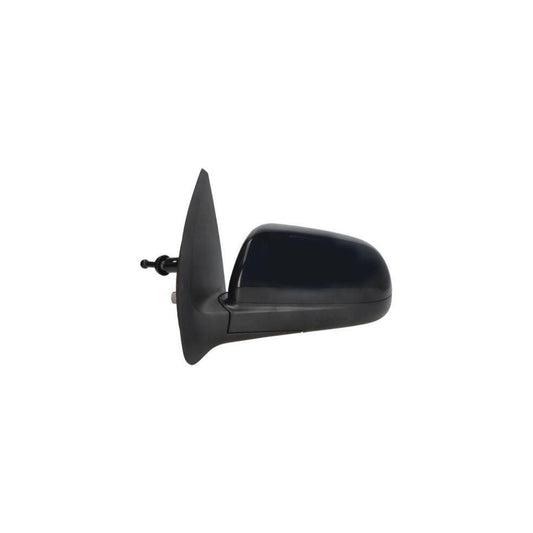 Blic 5402-56-2001063P Wing Mirror