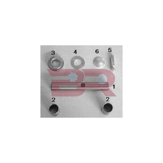 Botto Ricambi KITIV008 Repair Kit, Kingpin