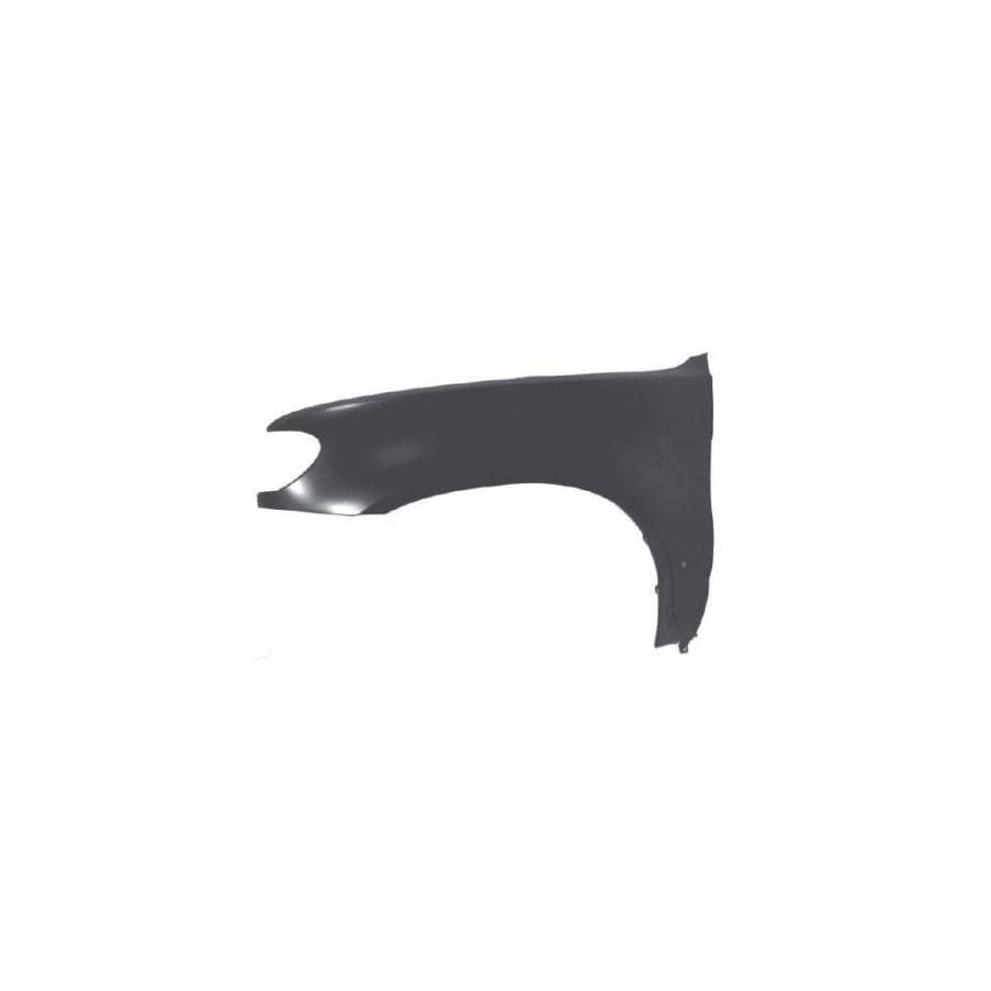 Abakus 00425211 Wing Fender For Bmw X5 (E53) | ML Performance UK
