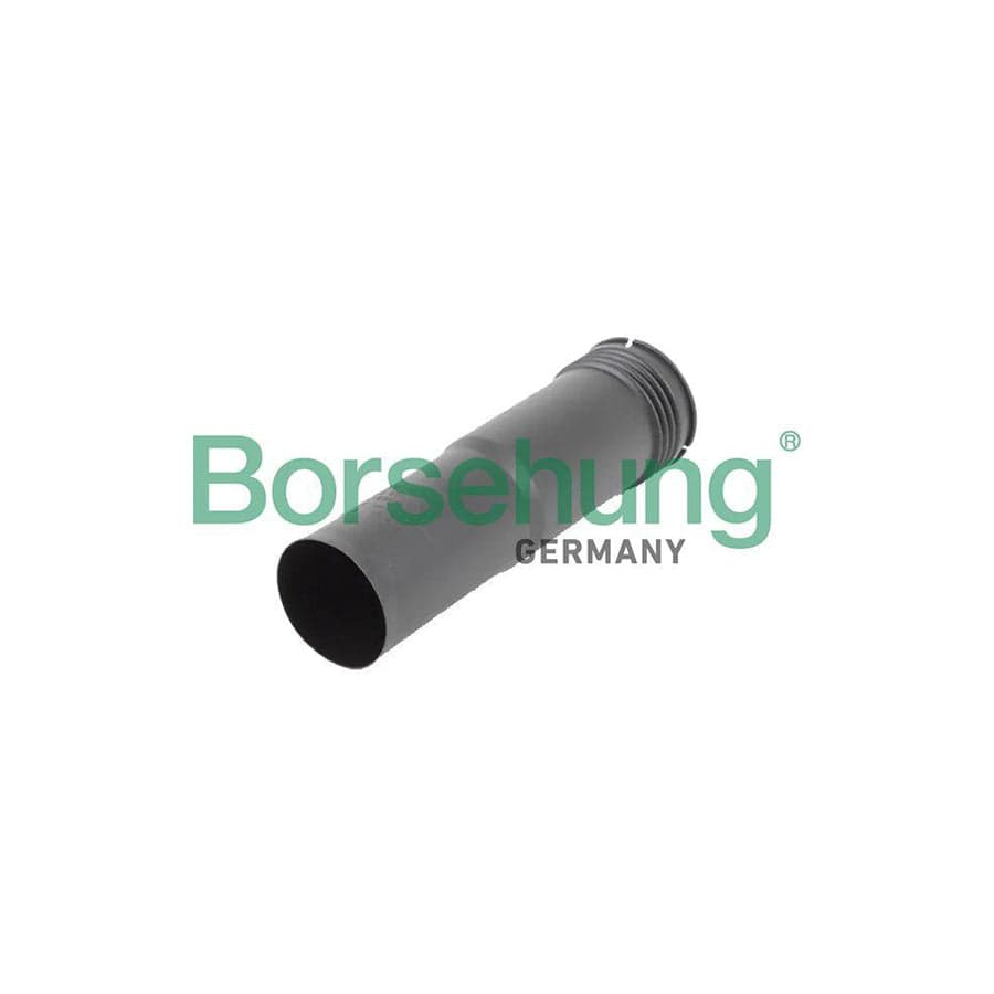 Borsehung B19168 Protective Cap / Bellow, Shock Absorber
