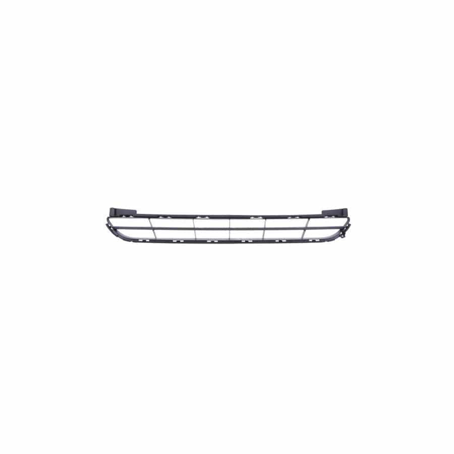 Blic 6502-07-2508995Q Bumper Grill