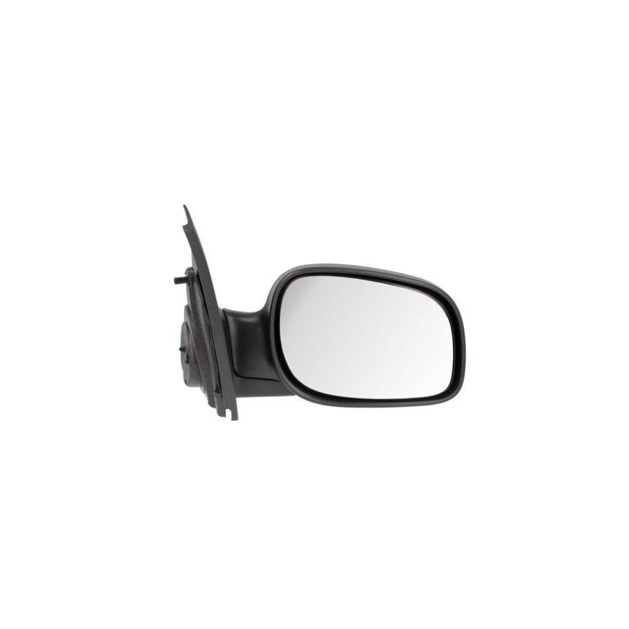 Blic 5402-57-2001638P Wing Mirror For Land Rover Freelander
