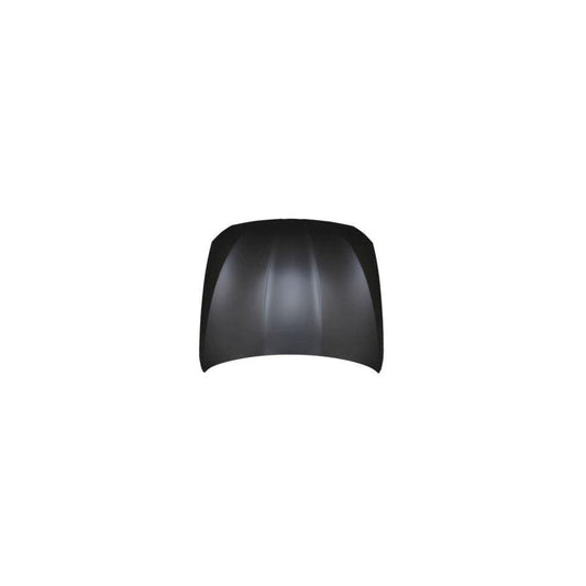 Abakus 00431100 Bonnet For Bmw 5 Saloon (F10) | ML Performance UK