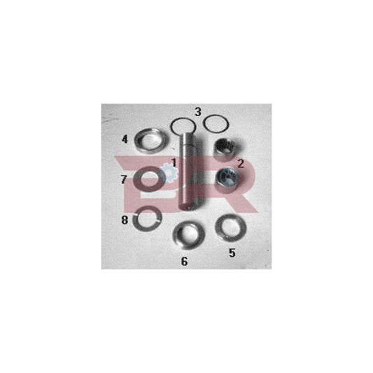 Botto Ricambi KITIV028 Repair Kit, Kingpin