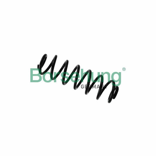 Borsehung B12623 Coil Spring