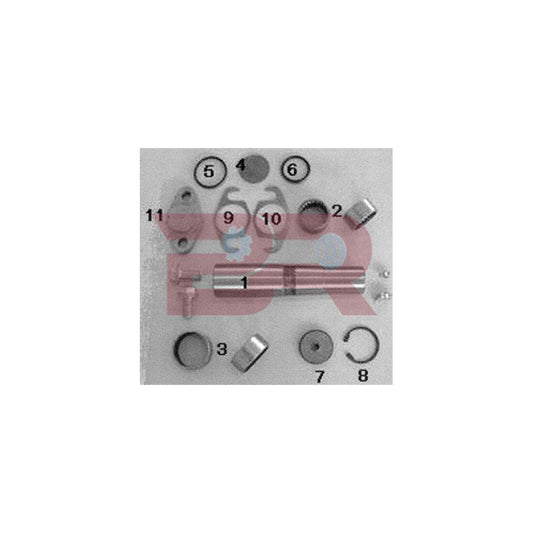 Botto Ricambi KITIV026OR Repair Kit, Kingpin