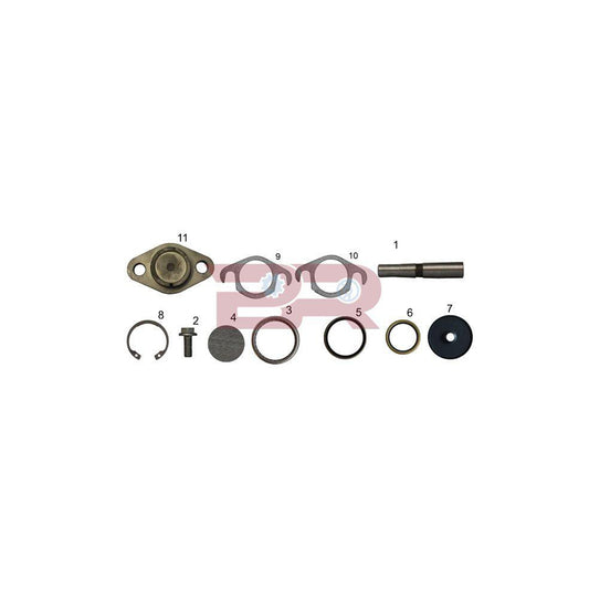 Botto Ricambi KITIV026 Repair Kit, Kingpin