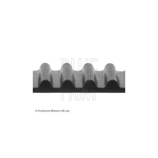 Blue Print ADN17516 Timing Belt