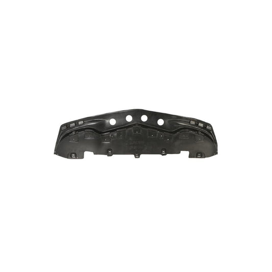 Blic 6601-02-3508881P Skid Plate Suitable For Mercedes-Benz B-Class (W245)
