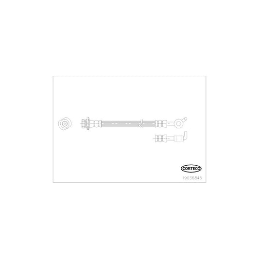 Corteco 19036846 Brake Hose | ML Performance UK