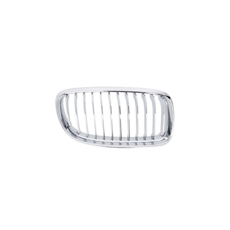 Blic 6502-07-0062994Pp Radiator Grille For BMW 3 Series