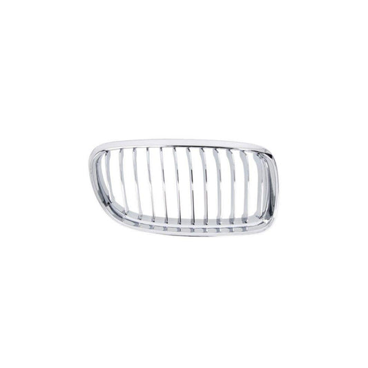 Blic 6502-07-0062994Pp Radiator Grille For BMW 3 Series