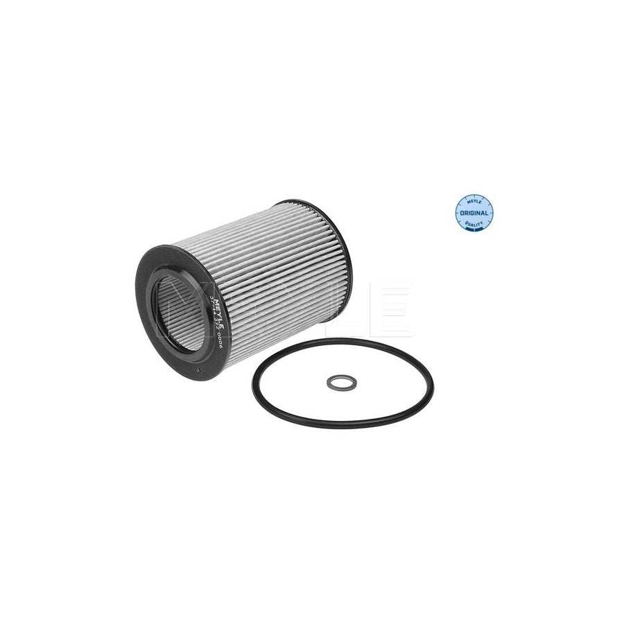 Meyle 37-14 322 0006 Oil Filter