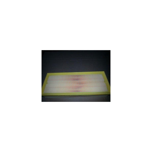 Bugiad BSP20663 Air Filter