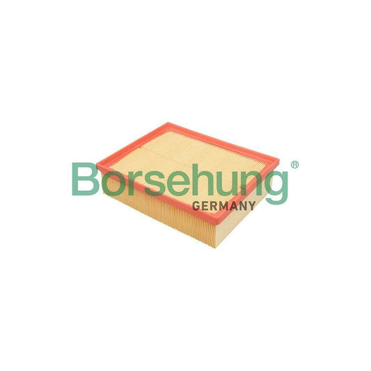 Borsehung B12805 Air Filter