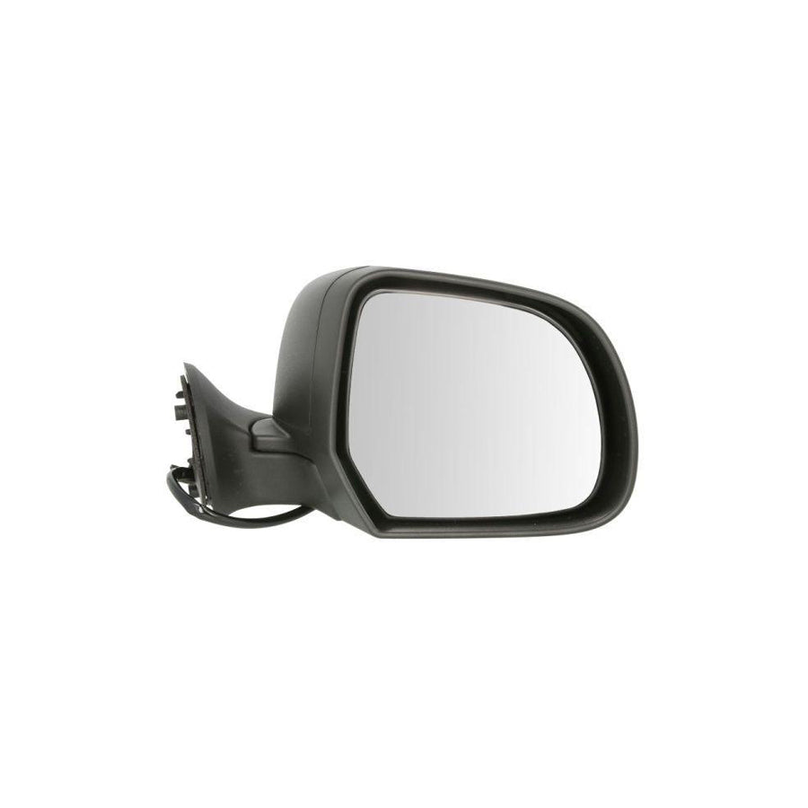Blic 5402-67-003364P Wing Mirror