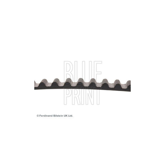 Blue Print ADN17527 Timing Belt