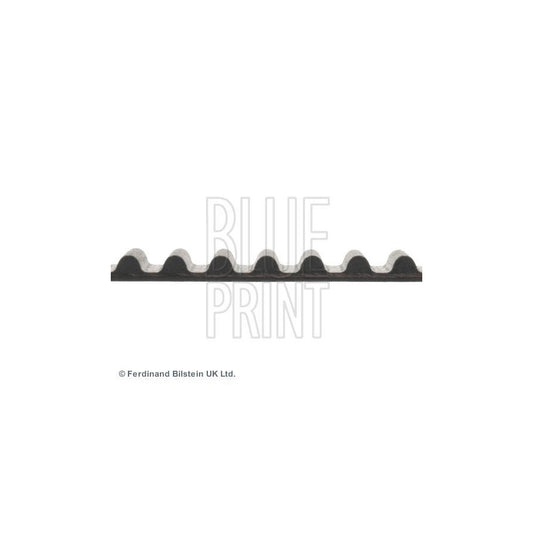 Blue Print ADN17521 Timing Belt
