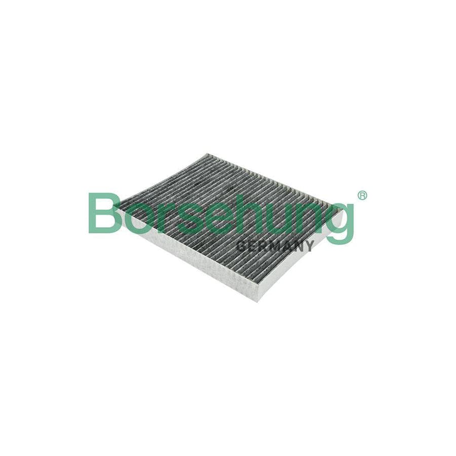 Borsehung B12799 Pollen Filter
