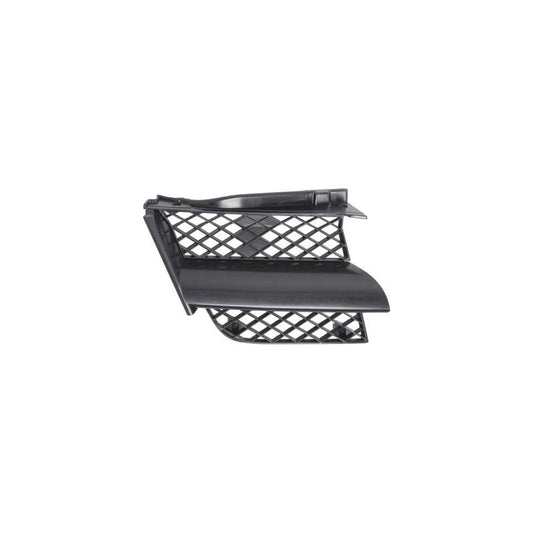 Blic 6502-07-3749992P Radiator Grille For Mitsubishi Outlander I Off-Road (Cu)