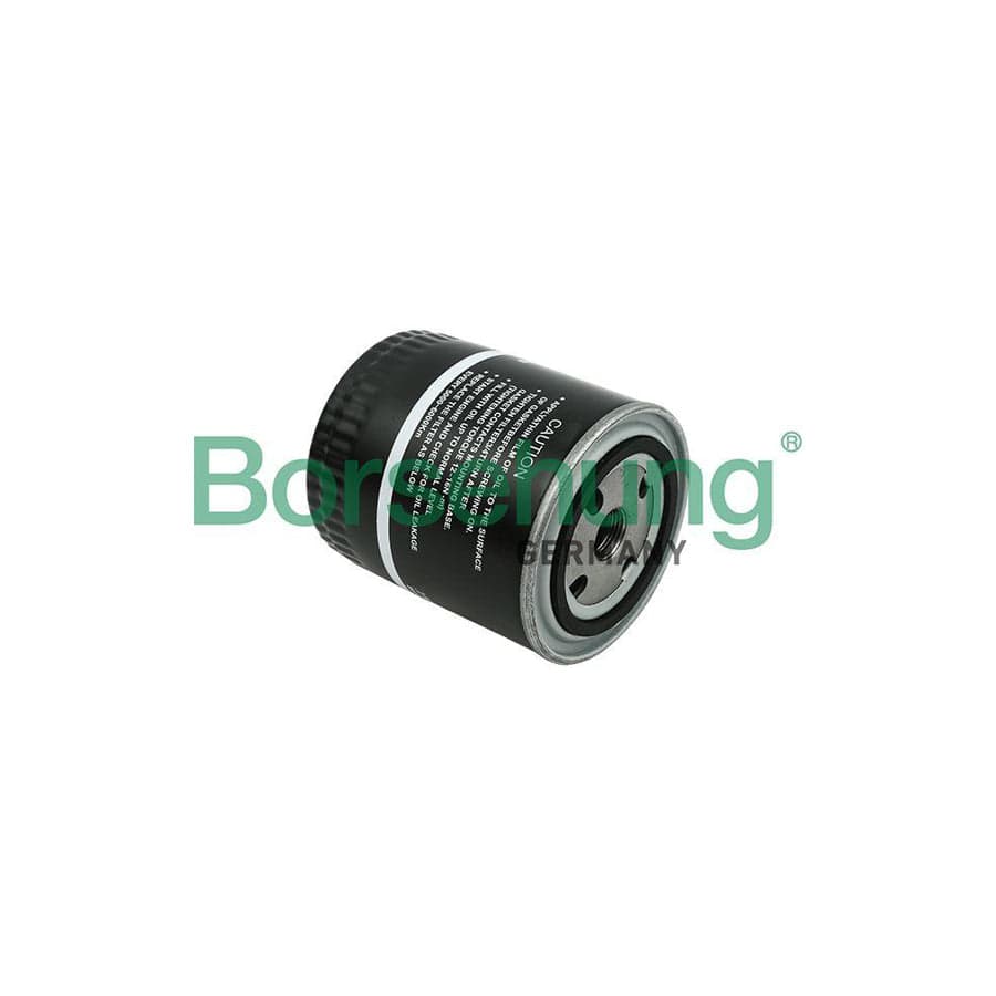 Borsehung B12818 Oil Filter
