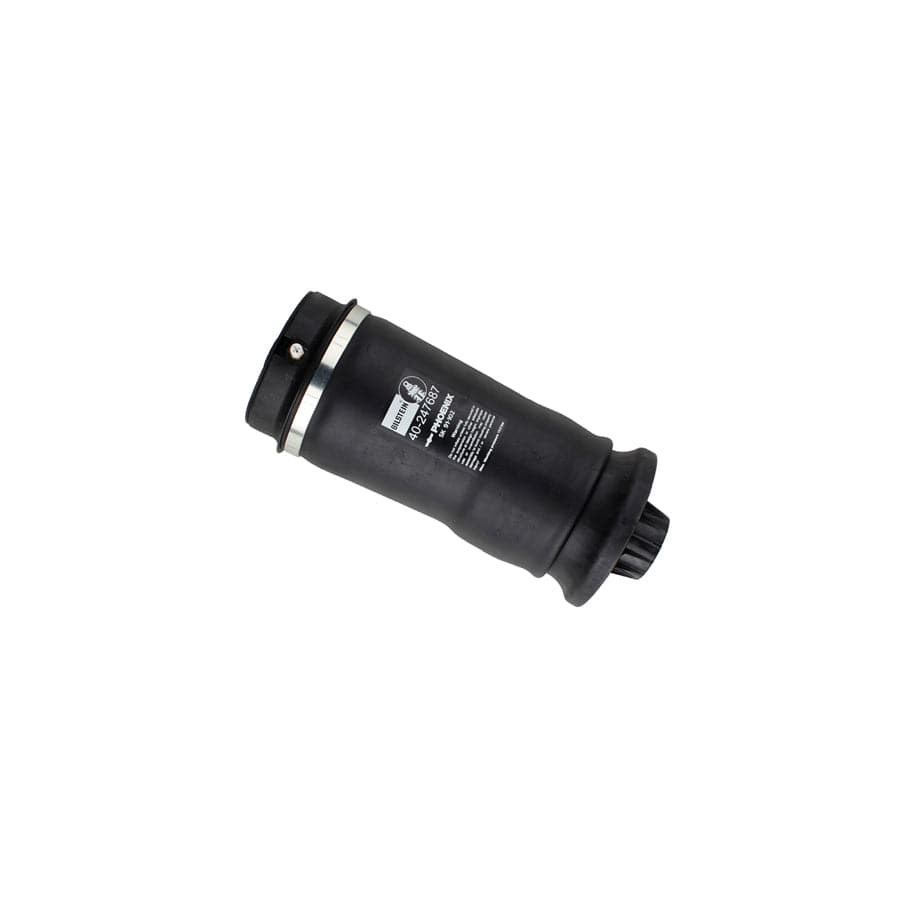Bilstein 40-247687 MERCEDES-BENZ W/X164 W/X166 B3 OE Replacement Rear Air Suspension Spring 1 | ML Performance UK Car Parts