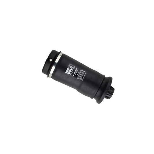 Bilstein 40-247687 MERCEDES-BENZ W/X164 W/X166 B3 OE Replacement Rear Air Suspension Spring 1 | ML Performance UK Car Parts