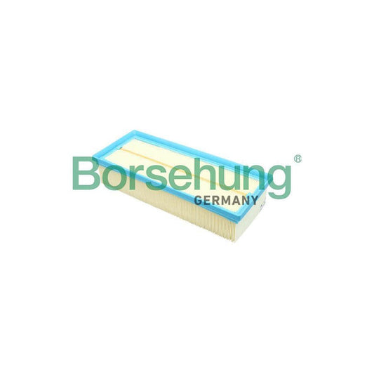 Borsehung B12811 Air Filter