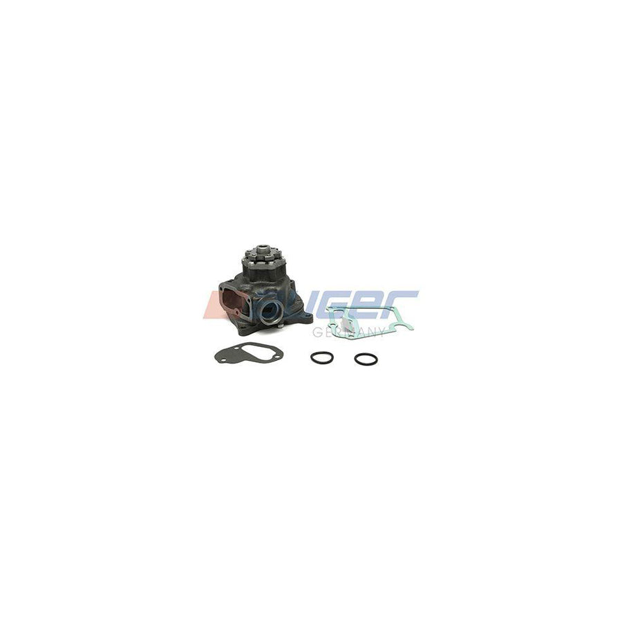 Auger 97236 Water Pump
