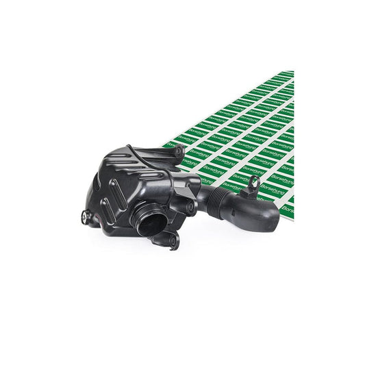 Borsehung B12830 Air Intake System