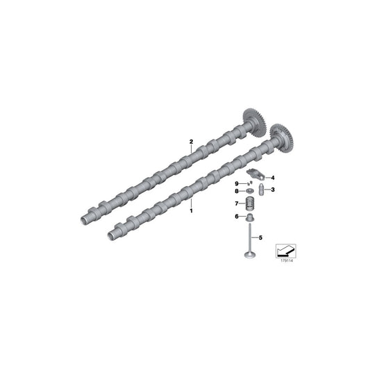 Genuine BMW 11348506606 F11 G11 F02 Intake Valve 29,2/4,92mm (Inc. X6 M50dX, X7 M50dX & X5 M50dX) | ML Performance UK Car Parts